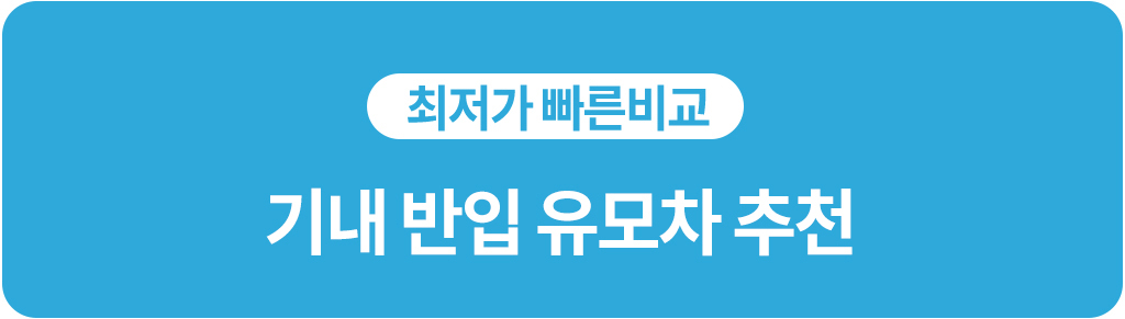 바운서