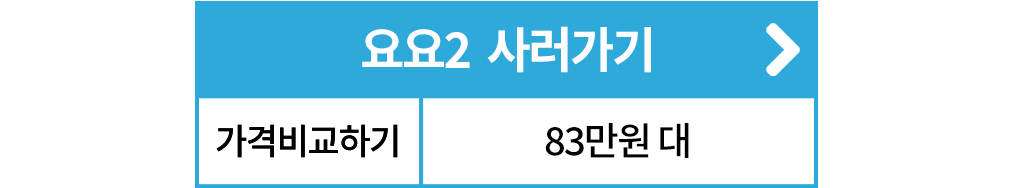 바운서